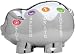 Money Savvy Pig - Platinum