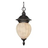Nuvo Lighting Balun Fluorescent Outdoor Hanging Pendant