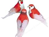 Accent Design Floral and Garden Accents Medium Bird Thrush 3 3/4 Feather Red/White