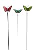 Set Of 3: Blossoms And Breezes Butterfly Plant Pics