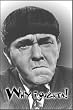 The Three Stooges Why i Oughta! Refrigerator Magnet