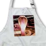Snakes - Albino Siamese Cobra - Aprons