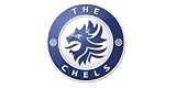 Chelsea FC Complete League Positions, Performance & Average Attendances by Year