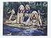 Otterhound Notecards by Ruth Maystead