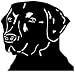 Outdoor Decals Chesapeake Lab Head Decal - 5 Inch