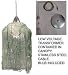Meyda Tiffany - 19481: Platinum - 4