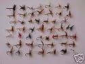 50 ASSORTED DRIES - Fishing Flies Flys Fly