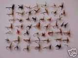 50 ASSORTED DRIES