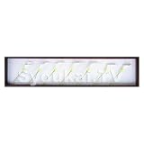 F-style ���[�t�p�l���ECalla 300x1380x45mm