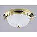Westinghouse 64349 Two-Light Flush Mount Ceiling Fixture, Polished Brass with Frosted Globes