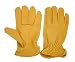 Deerskin Driving - Horseback & Motorcycle Riding Gloves Large