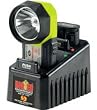 Big Ed Rechargeable System w/110v Fast charger