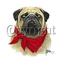 Pug With Red Bandana Adult T-Shirt