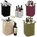 Metro Quattro Insulated Wine Bottle carrier tote