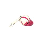University of Nebraska Lincoln UNL Cornhuskers- Keychain - Slammer style Musical Plush Helmet