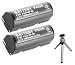 ValuePack (2 Count): Replacement Battery for Specific Digital Camera and Camcorder Models / Compatible with EPSON: B32B818232, B32B818233, EPALB1, EU-85, FUJIFILM NP-80, KODAK KLIC-3000, KYOCERA BP-1100, LEICA NP-80, RICOH: DB-20, DB-20L, TOSHIBA: PDR-BT1, PDR-BT2, PDR-BT2A (NOT For Kyocera BP-1100S) - Includes Mini Tripod with Expandable Legs