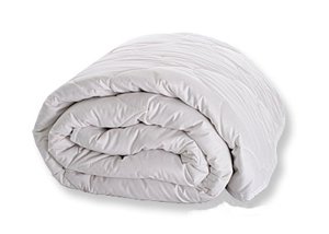 Sweet Dreams All-natural Tussah Silk Queen Comforter