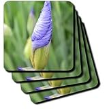 inspirational iris - Set Of 4 Ceramic Tile Coasters