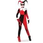 Adult Harley Quinn Costume