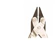 PLIER CHAIN LIGHT SMOOTH JAWS 5"