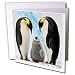 Birds - Emperor Penguin Family - Greeting Cards-12 Greeting Cards with envelopes
