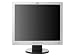 HP L1906 - Flat panel display - TFT - 19 - 1280 x 1024 / 75 Hz - 250 cd/m2 - 500:1 - 12 ms - 0.294 mm - VGA - silver, carbon