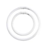 ASL CIR32 40 41K 32-Watt Circline and 40-Watt Circline 4-Pin Electronic Magnetic Ballast TWIN PACK, Cool White by ASL