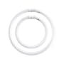 ASL CIR32/40/41K 32-Watt Circline and 40-Watt Circline 4-Pin Electronic/Magnetic Ballast TWIN PACK, Cool White