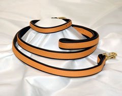 Java and Gold Dog Leash -Length 4 Foot