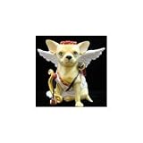Aye Chihuahua Cupid