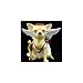 Aye Chihuahua Cupid