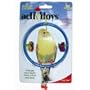 JW Pet Insight Activitoys Ring Clear Bird Perch Swing for Parakeets, Cockatiels & Similar Sized Birds