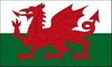 Wales Flagge 90 * 150 cm - 