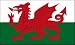 Third Party New : Wales Flagge 90 * 150 cm