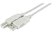Cordons usb 2.0 - Cordon usb 2.0 budget type ab m/m - 1,80m