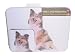 Shetland Sheepdog Sheltie Mouse Pad and Coaster Set