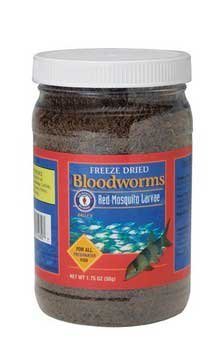 Freeze Dried Bloodworms 1.75oz