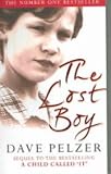 The Lost Boy - A Foster Child's Search For The Love Of A Family