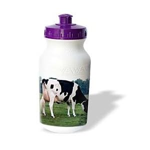 Farm Animals - Holstein Cow - Water Bottles