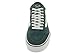 Vans Men's TNT SG Skate Shoe