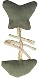 Catit Eco Terra Natural Linen Toy with Raffia, Green Fish