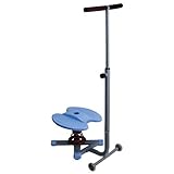 Twist & Bounce Exerciser