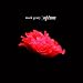 Opium
