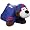 New York Giants