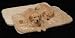 Sporting Goods : Snoozzy Cozy Sleep Tight 29x18