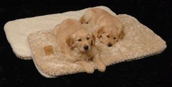 Childrens Toyshop  Sporting Goods : Snoozzy Cozy Sleep Tight 29x18