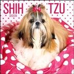 Shih Tzu 2009 Wall Calendar