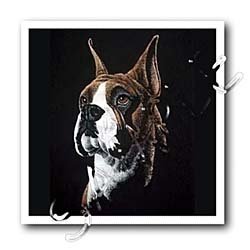image link - - B000LJMJC2