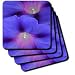 Indigo -Blue - bindweed, ipomoea, morning glory, purple, realism, wormweed, september birth flower - Set Of 4 Ceramic Tile Coasters