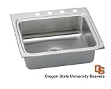 IMAGE OF Elkay Accessories LR25222BNCORSU Elkay Lustertone Sink N A